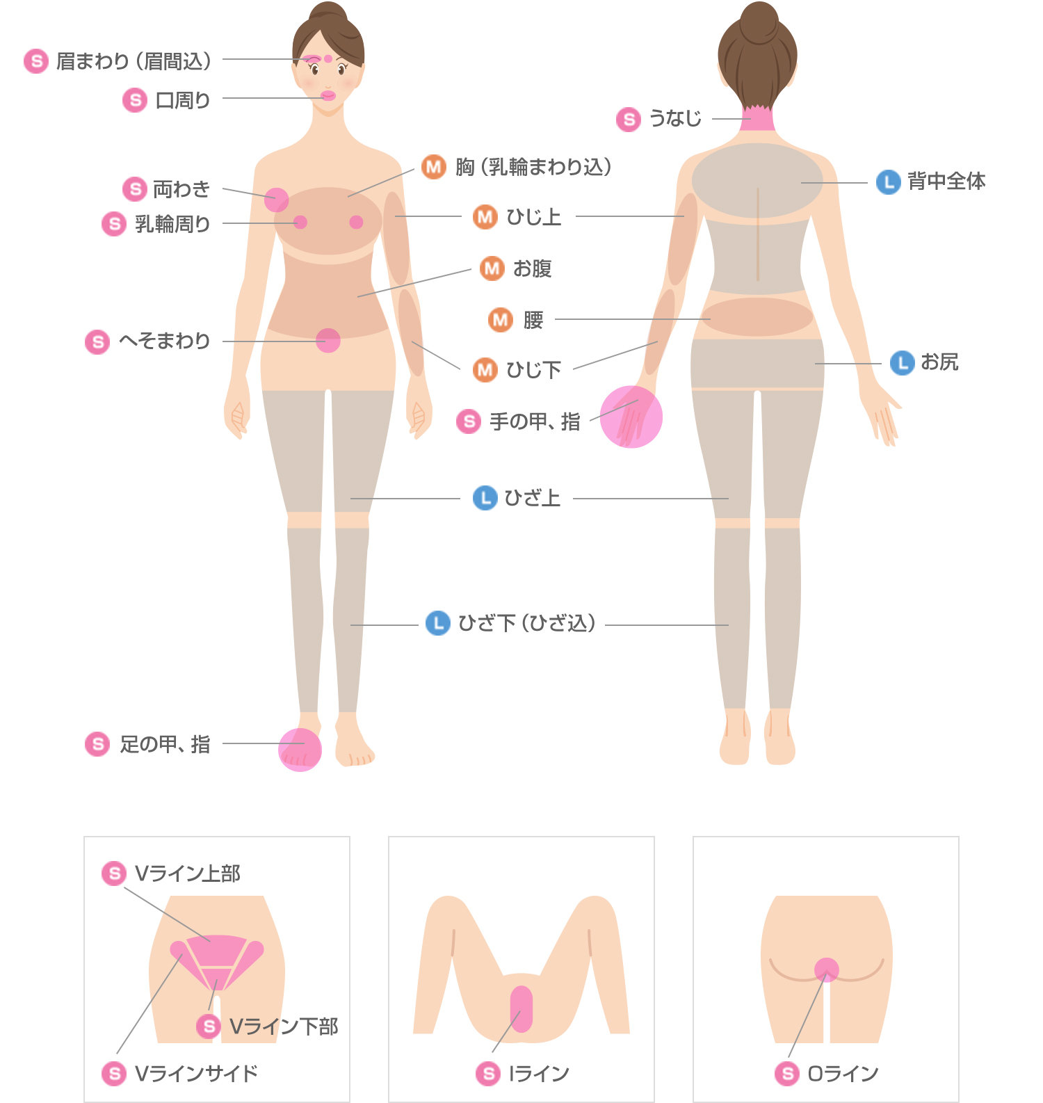 ALICIA(美肌脱毛)脱毛部位