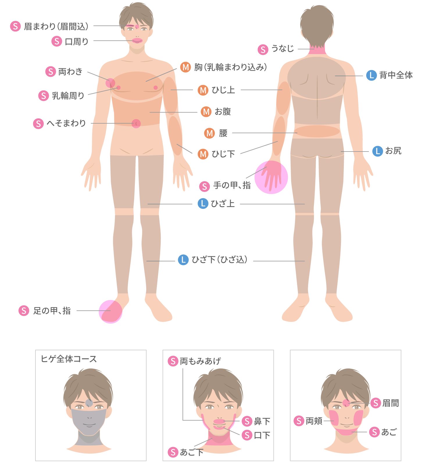 ALICIA(美肌脱毛)脱毛部位 男性