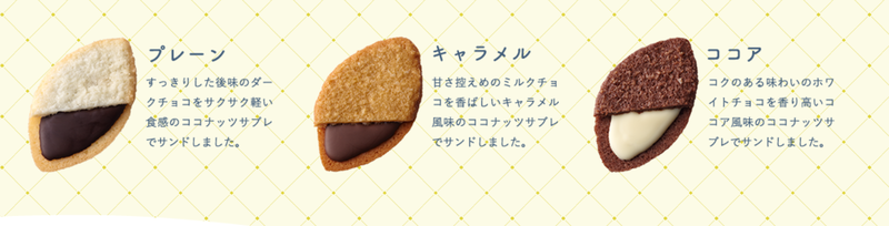 ALICIA おもてなし