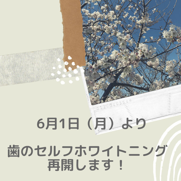 ALICIA セルフホワイトニング