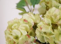 ご予約のキャンセルについて、キャンセル料をいただかない理由